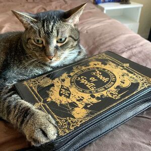 Black and Gold 'Book of Spells' Book-Shaped Zippered Purse with Detachable Strap